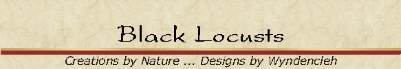 Black Locusts