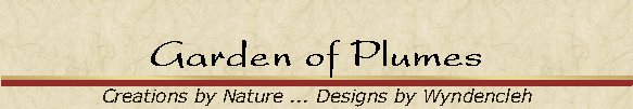 Garden of Plumes