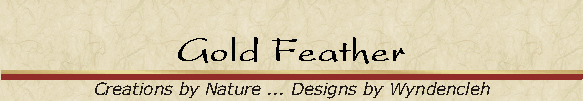 Gold Feather