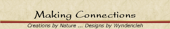 Making Connections