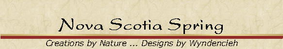 Nova Scotia Spring