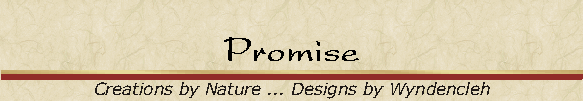 Promise