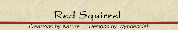 Red Squirrel 