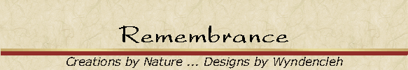 Remembrance
