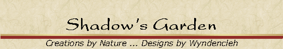 Shadow's Garden
