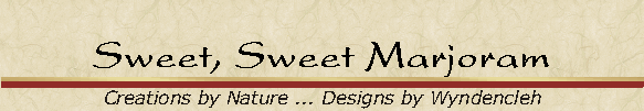 Sweet, Sweet Marjoram
