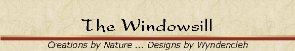 The Windowsill