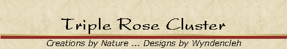 Triple Rose Cluster