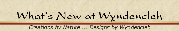 What's New at Wyndencleh