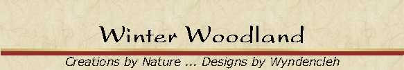 Winter Woodland