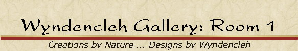 Wyndencleh Gallery: Room 1