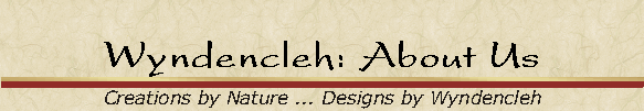 Wyndencleh: About Us